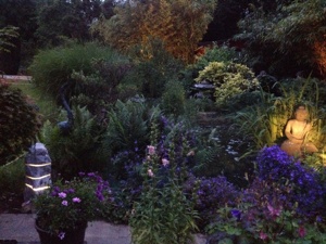 image14
